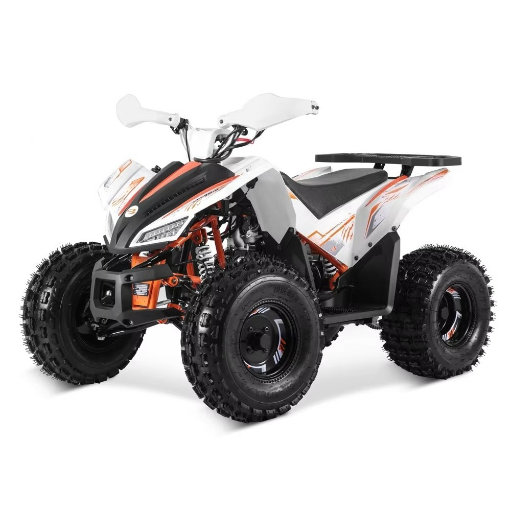 Stlf Tao Motor 2026 Neues Spor – Bike Chain Bewertung und Preis